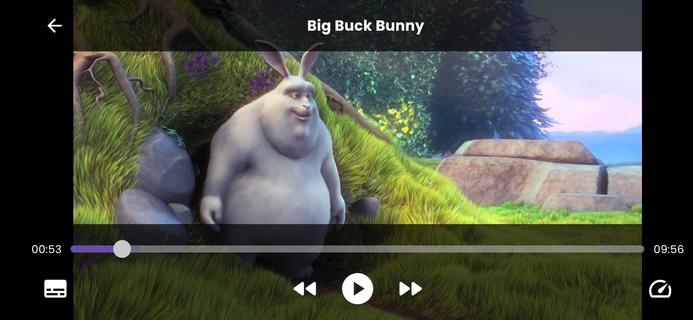 IPTV Player PC