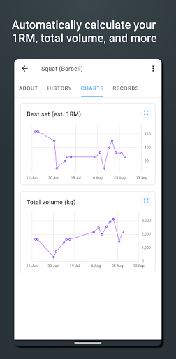 Strong Workout Tracker Gym Log PC