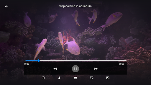 IPTV Smarter 4K Player PC