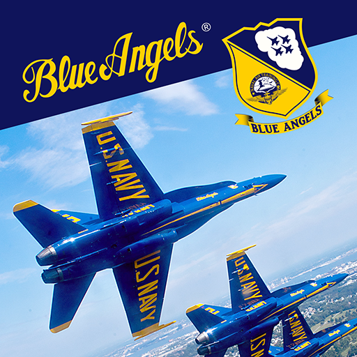 Blue Angels: Aerobatic Flight PC