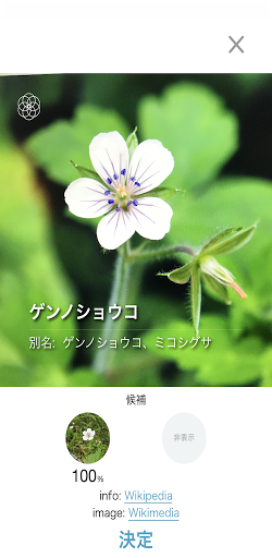 ハナノナ app PC版