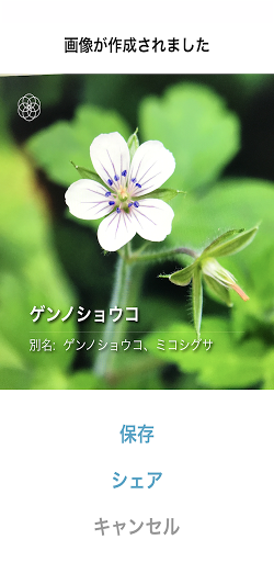 ハナノナ app PC版