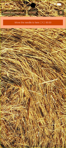 Needle In Haystack পিসি