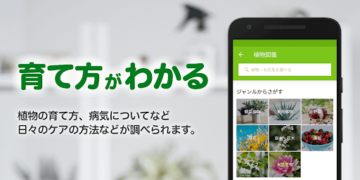 GreenSnap - 植物・花の名前が判る写真共有アプリ PC