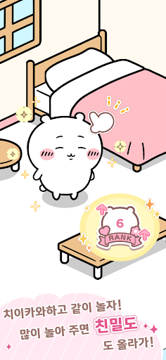 먼작귀 포켓