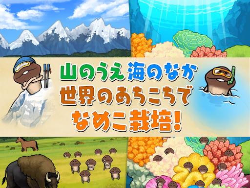 なめこ栽培キット ザ・ワールド PC