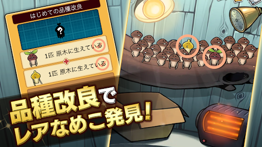 なめこ栽培キットDeluxe 極