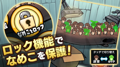 なめこ栽培キットDeluxe 極