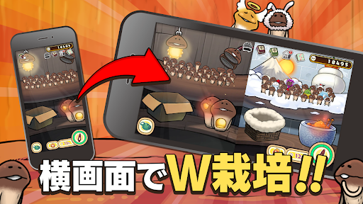 元祖 なめこ栽培キット