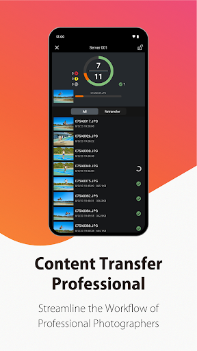 Content Transfer Professional