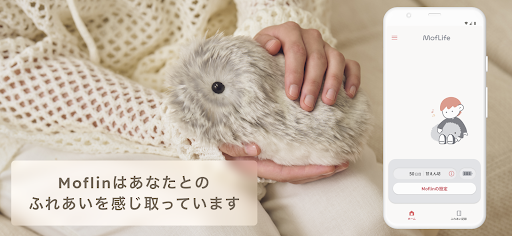 MofLife/ Moflin(モフリン)と絆を深めるアプリ PC