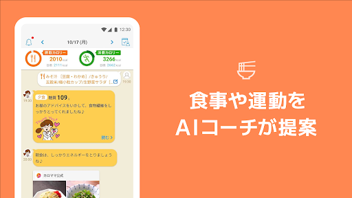 カロママプラス PC版