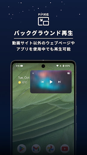 Lunascape web3ブラウザ 動画広告もブロック PC版