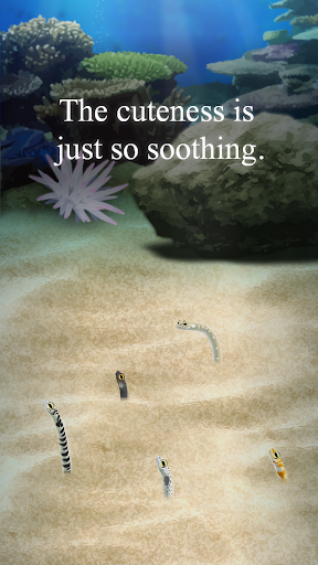 Garden Eel Pet