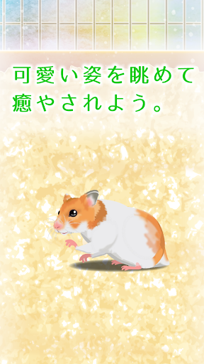 癒しのハムスター育成ゲーム PC版