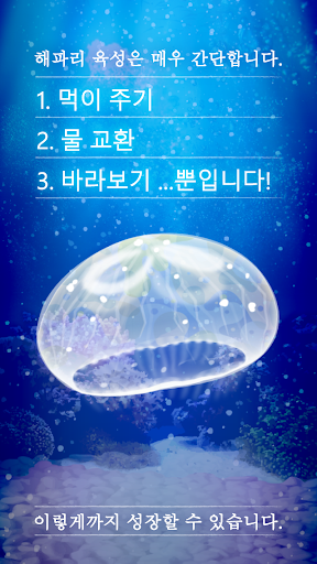 힐링의 해파리 육성 게임 PC