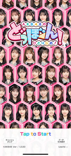 The AKB48's Dobon! PC