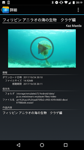 WS Player