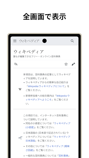 Berry Browser PC版