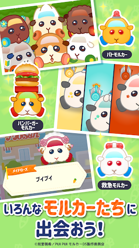 PUI PUI モルカー モルグランプリ～ぷいっとRPG～