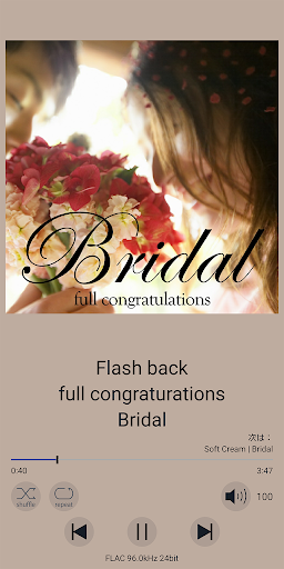 fidata Music App PC版