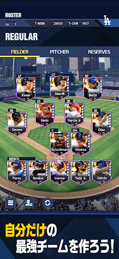 MLB PRO SPIRIT