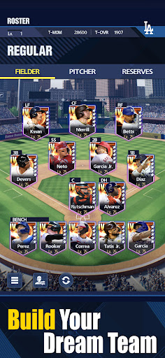 MLB PRO SPIRIT