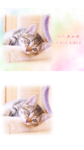 わたあめカメラ PC版