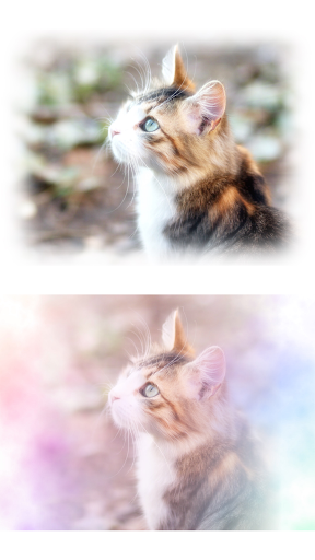 わたあめカメラ PC版