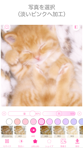 わたあめカメラ PC版