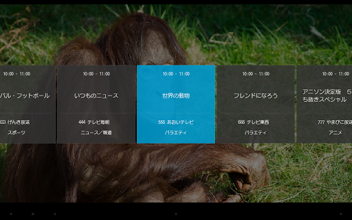 地デジViewer （R） PC版