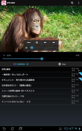 地デジViewer （R） PC版
