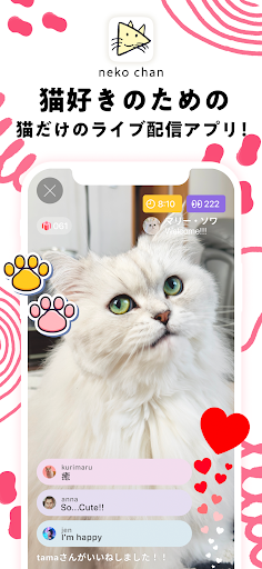 nekochan - 猫だけのライブ配信アプリ PC