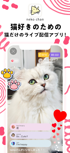 nekochan - 猫だけのライブ配信で癒されよう！ PC版