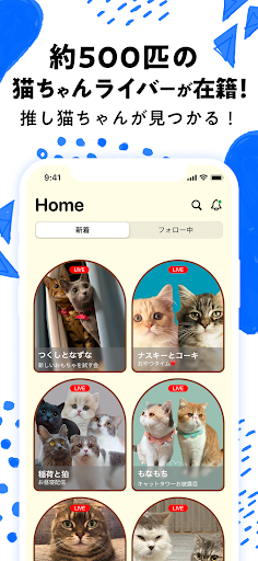 nekochan - 猫だけのライブ配信アプリ PC