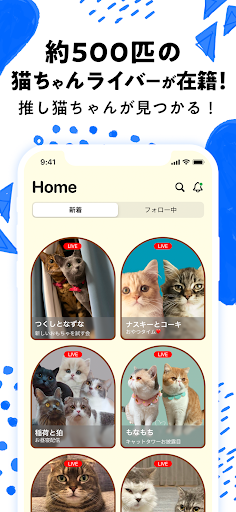 nekochan - 猫だけのライブ配信で癒されよう！ PC版