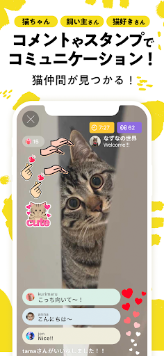 nekochan - 猫だけのライブ配信で癒されよう！ PC版