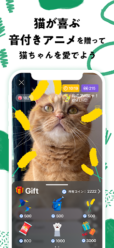 nekochan - 猫だけのライブ配信で癒されよう！ PC版