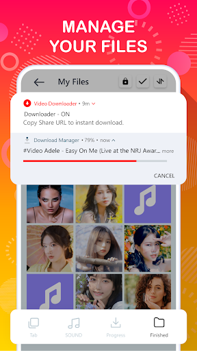 Tube Video Downloader PC