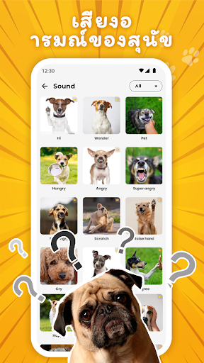 Dog Translator: Pet Jokes PC