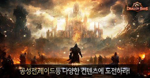 드래곤라자 오리진 PC