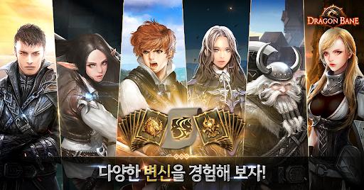 드래곤라자 오리진 PC