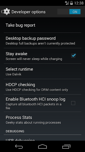 Developer options PC