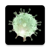 우한 폐렴 위험지도 - 중국 폐렴(신종 코로나바이러스) 관련 정보 제공 PC
