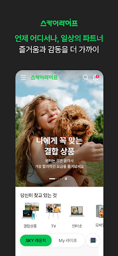 스카이라이프 PC