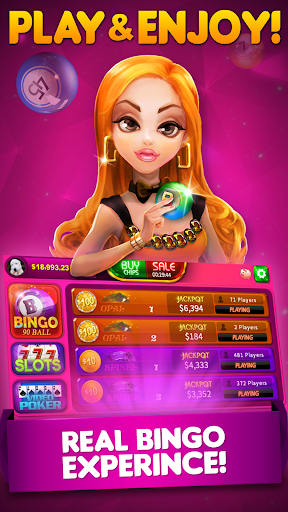 Bingo 90 Live – Bingo games الحاسوب