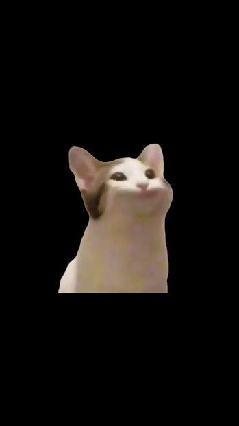 PopCat PC