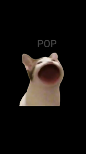 PopCat PC