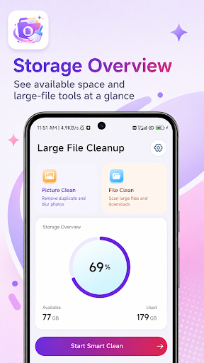 Large File Cleanup PC