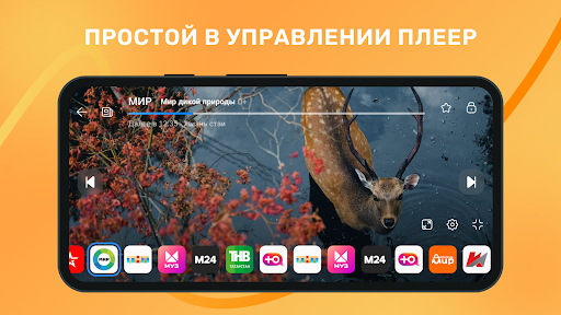 Лайт HD TV: онлайн тв каналы ПК